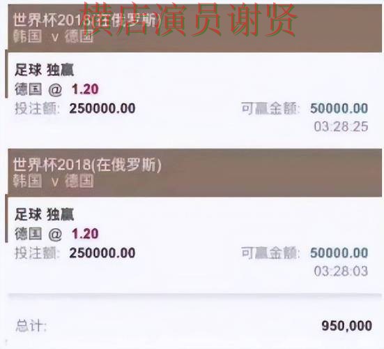 世界杯赛事中心来临,世界杯投注网站大全玩法指南与平台选择实测对比 世界杯赛事中心来临,世界杯投注网站大全玩法指南与平台选择实测对比